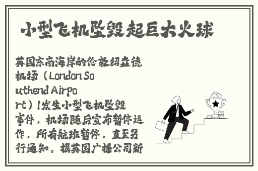英语老师的兔子好软
